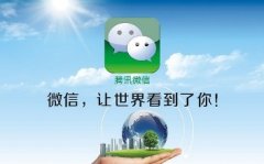 微信公众号托管服务事项有哪些？